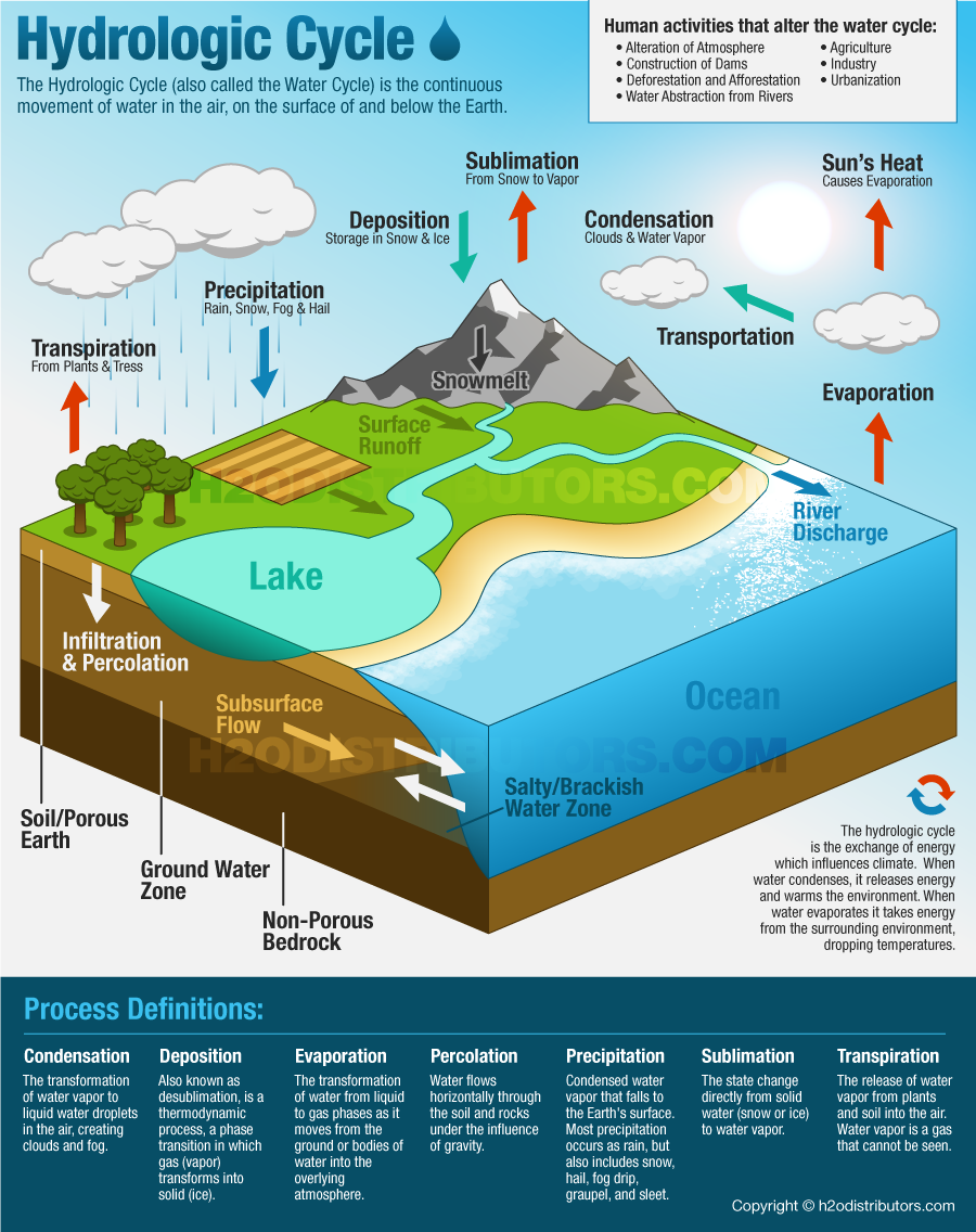 Water Cycle Poster | Educational Crafts for Science Projects